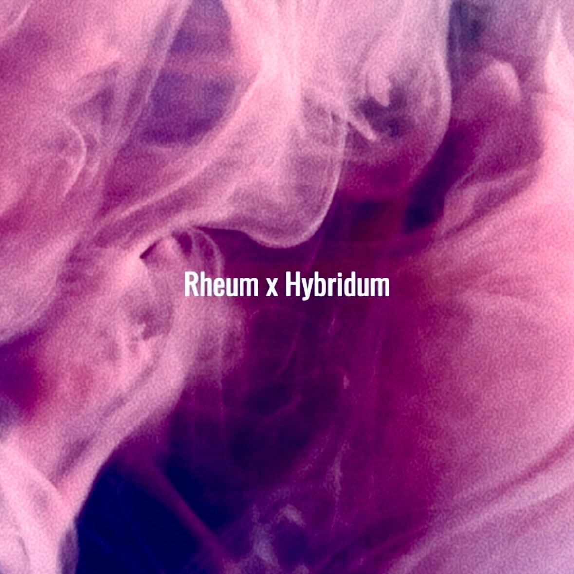 RHEUM x HYBRIDUM 50ml (Limited Edition)